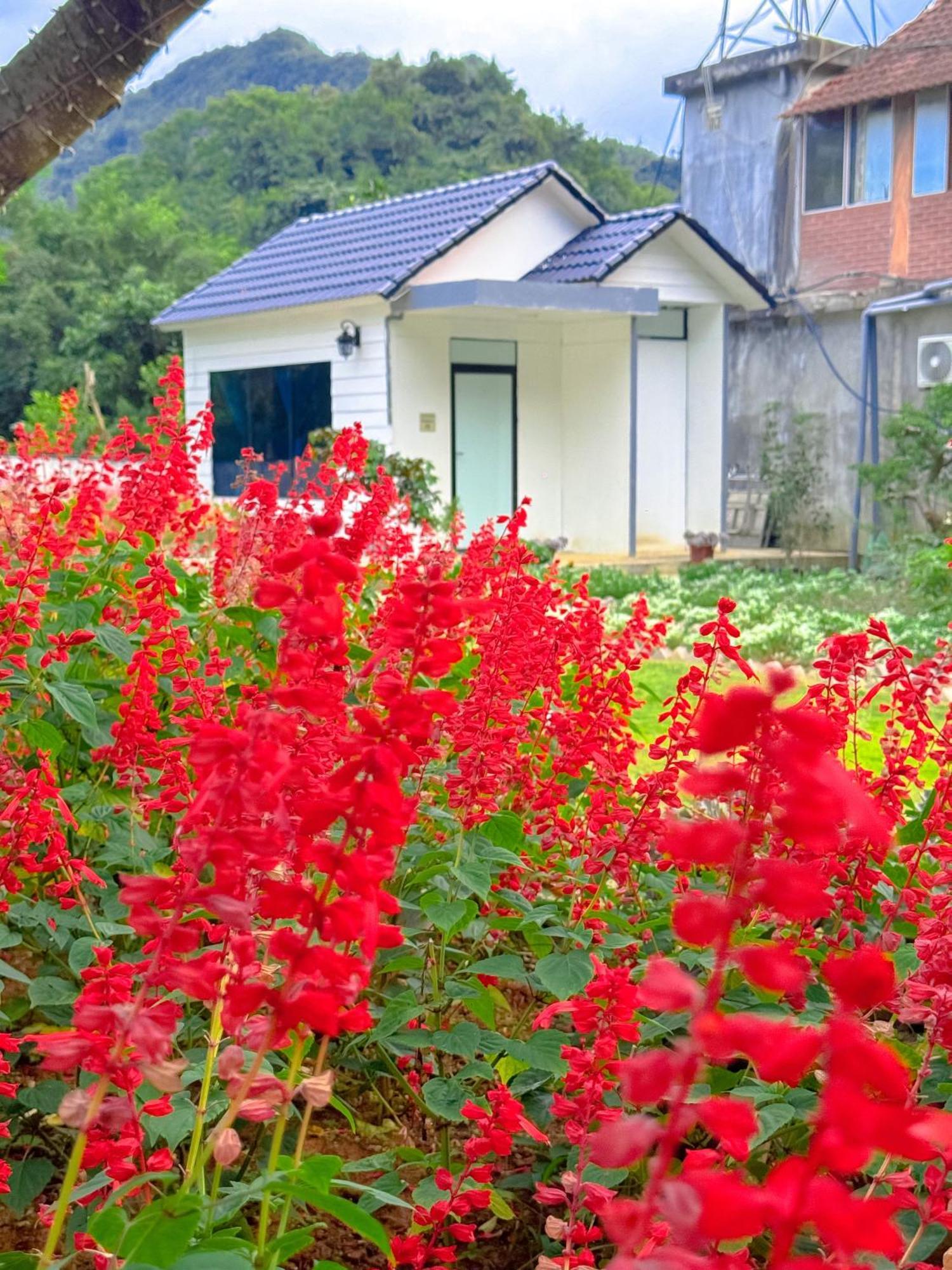 Moc Chau House Hotel Kültér fotó